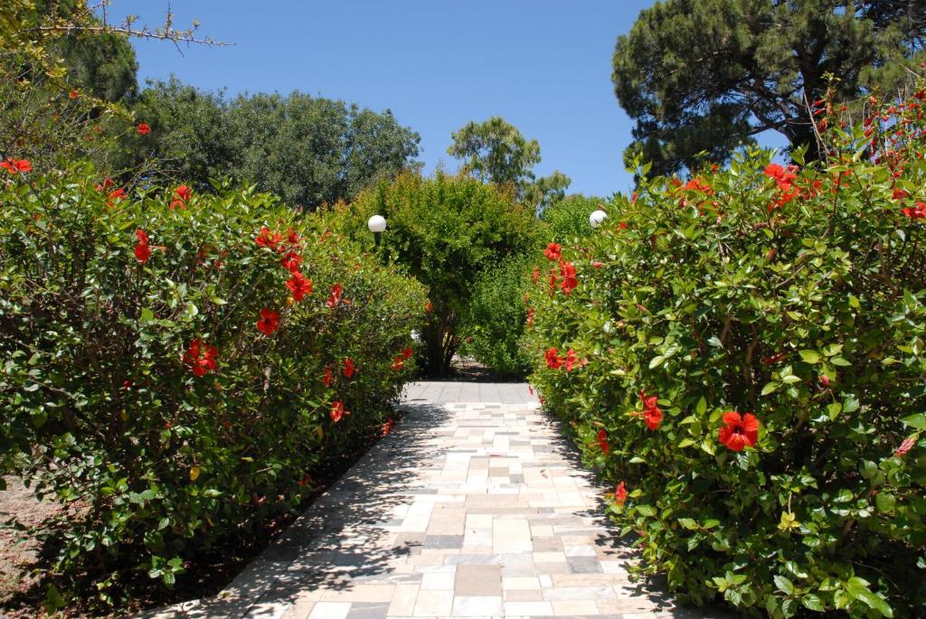 Niki Hotel Apartments Ialysos  Extérieur photo