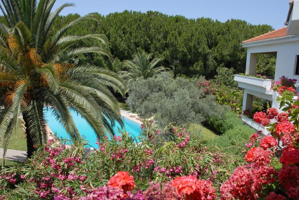 Niki Hotel Apartments Ialysos  Extérieur photo