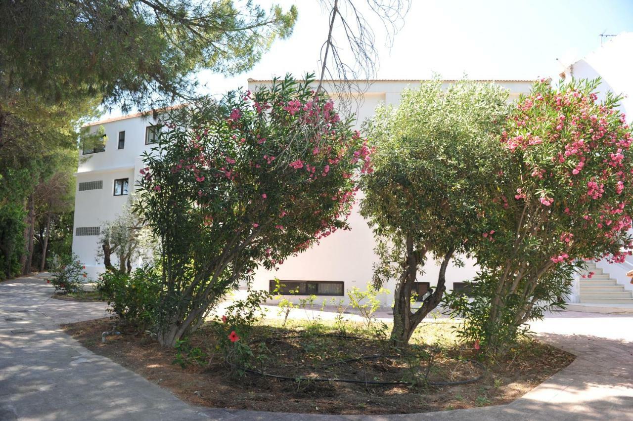 Niki Hotel Apartments Ialysos  Extérieur photo